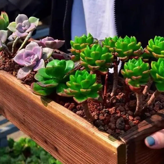 Sb7de869107614fd19a42cb806d0c1282L