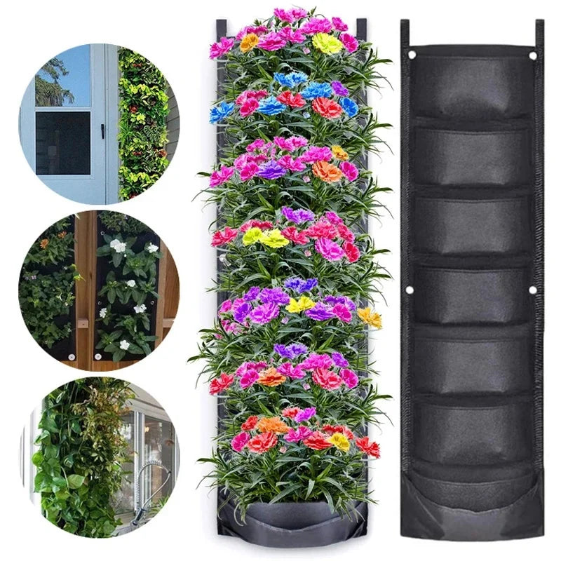 S0dbb7b09c6cb4beba9d3565338001b96Q