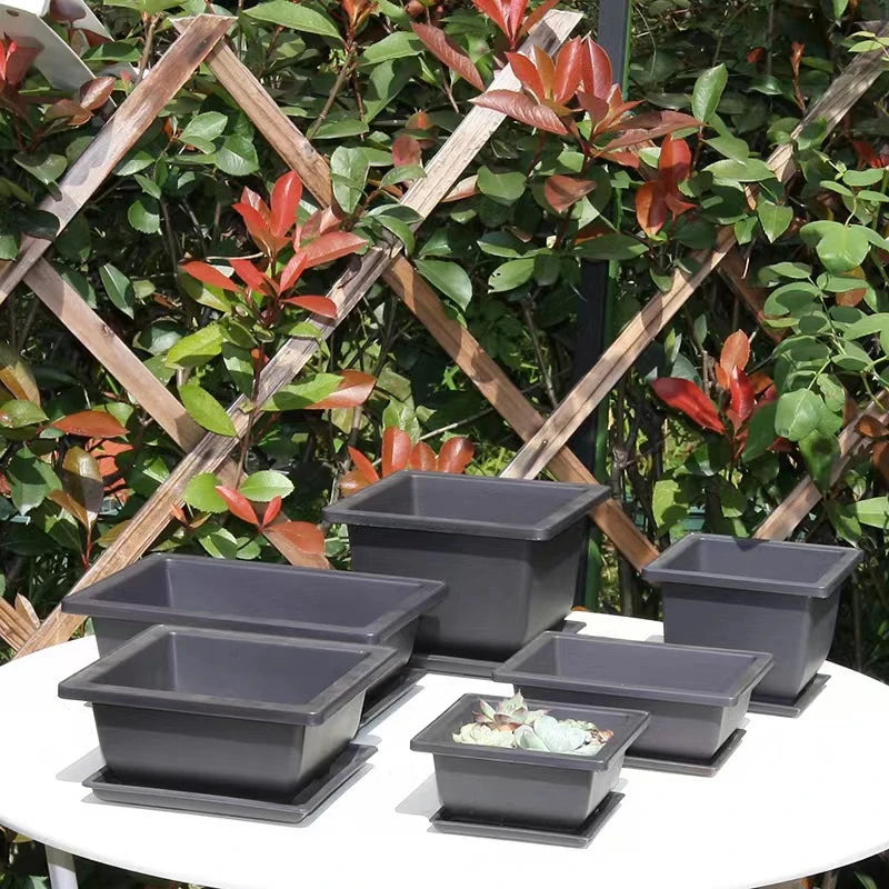 S496353eb166b4a178d80344fd27ac122Q