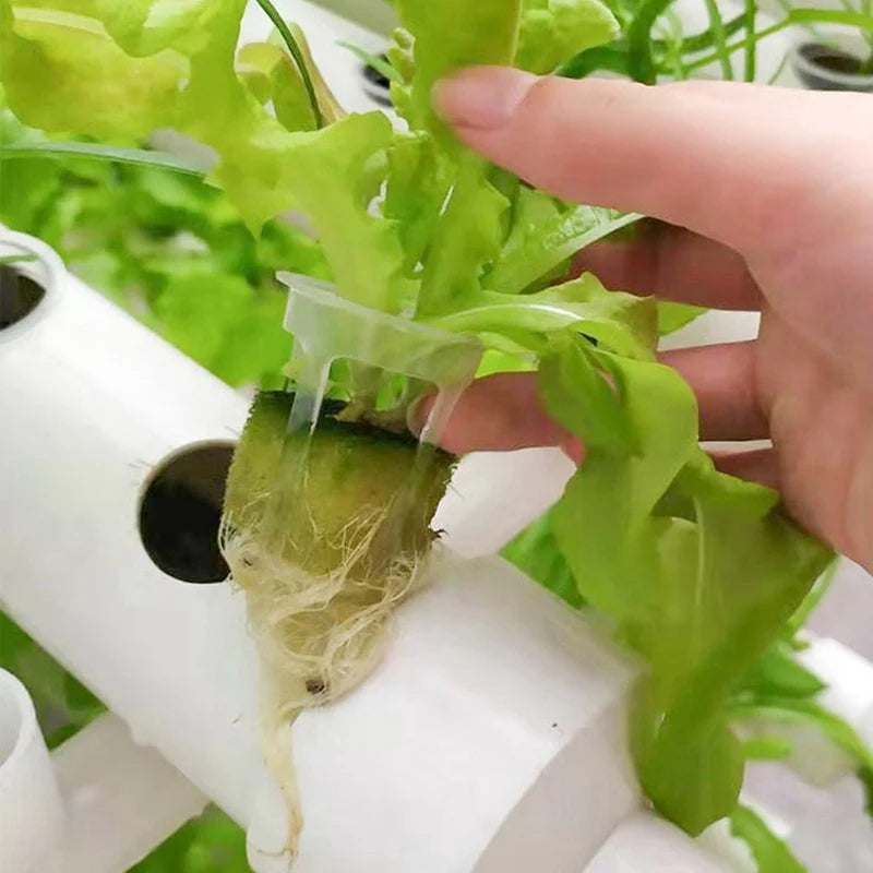 S5dda270da3064bf789cd24b2aac40359O