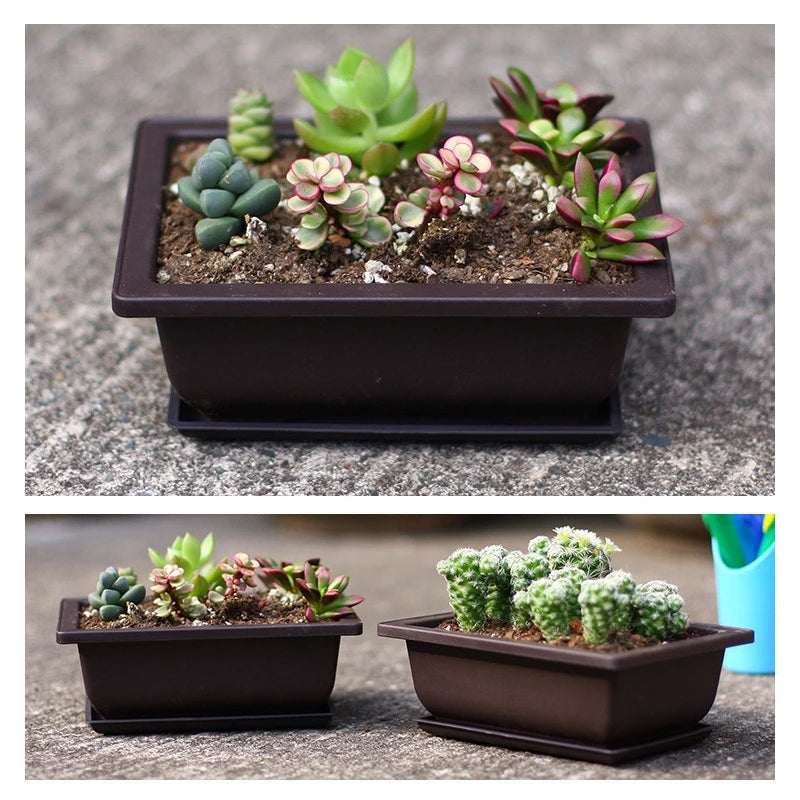 Sc73295b6d476412b913fd4a56d98936cd